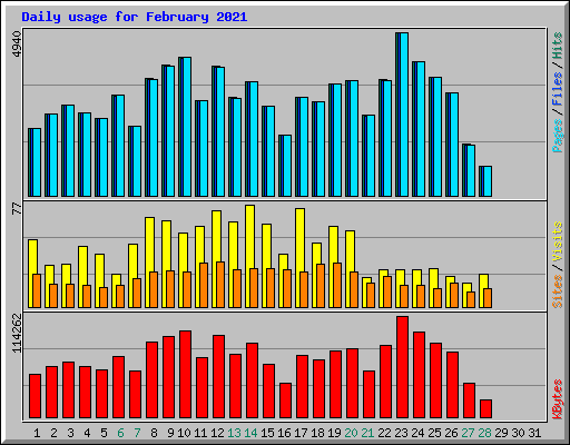 Daily usage for February 2021