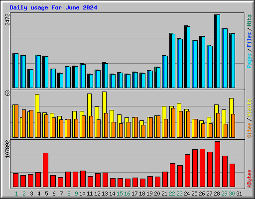 Daily usage for June 2024