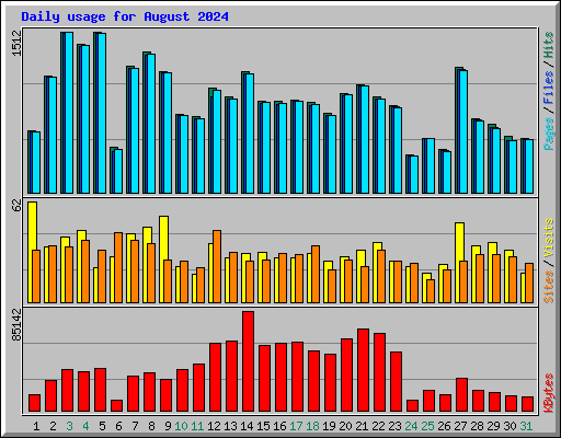 Daily usage for August 2024