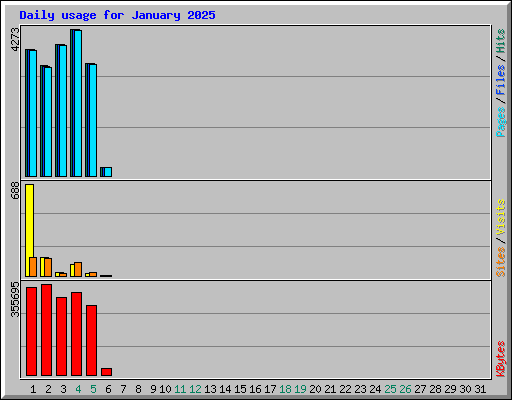 Daily usage for January 2025