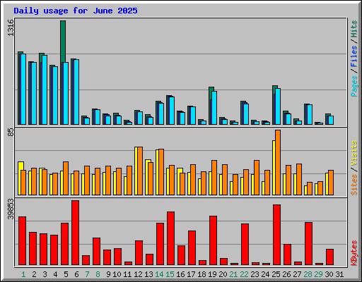 Daily usage for June 2025