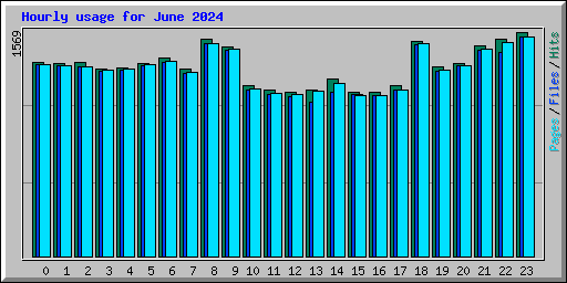 Hourly usage for June 2024