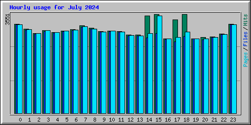 Hourly usage for July 2024