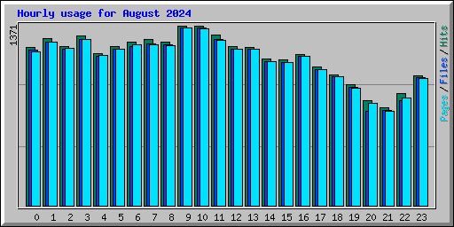 Hourly usage for August 2024