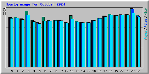 Hourly usage for October 2024