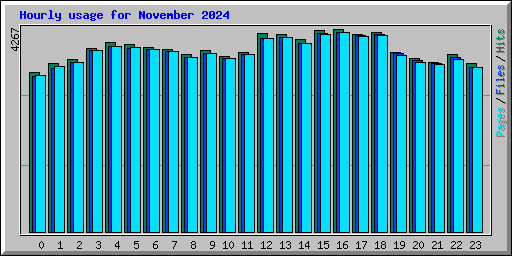 Hourly usage for November 2024