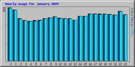 Hourly usage for January 2025