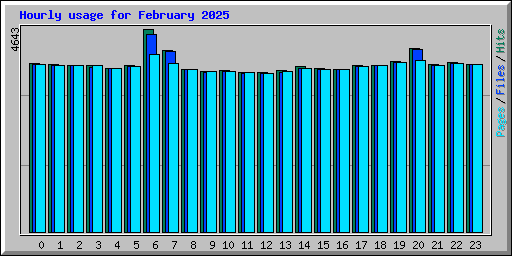 Hourly usage for February 2025