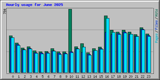 Hourly usage for June 2025