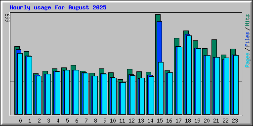 Hourly usage for August 2025