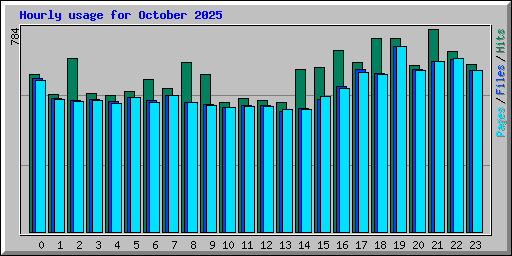 Hourly usage for October 2025