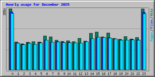 Hourly usage for December 2025