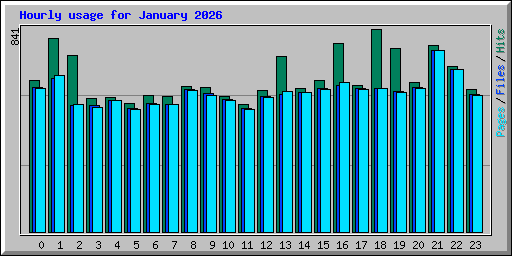 Hourly usage for January 2026