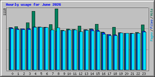 Hourly usage for June 2026